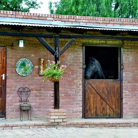 Owls Loft Guest House Мідранд Екстер'єр фото