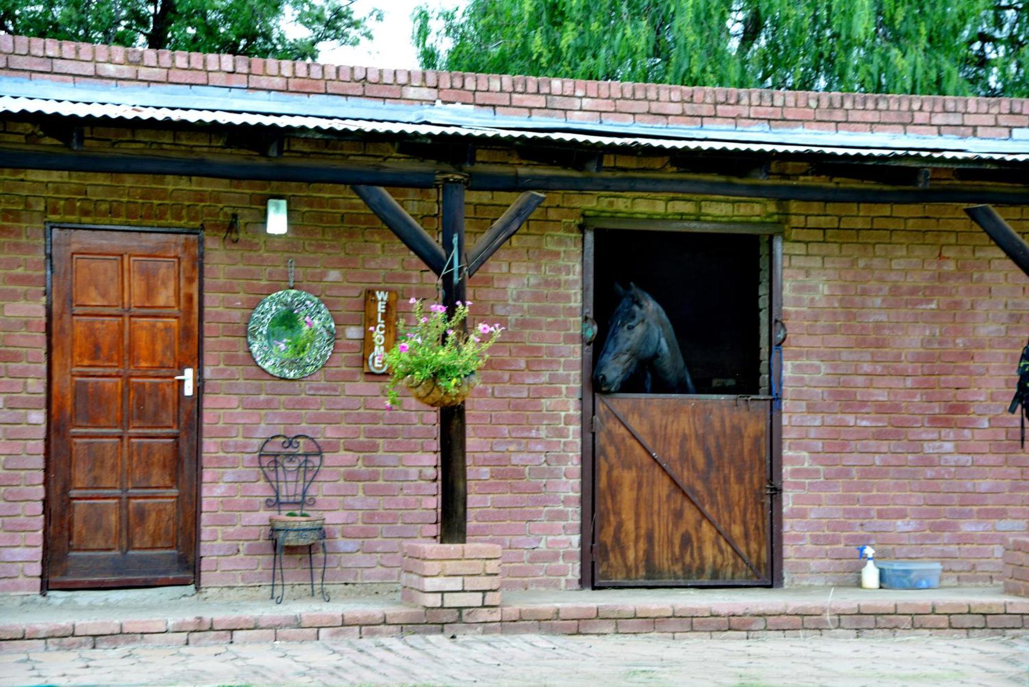 Owls Loft Guest House Мідранд Екстер'єр фото